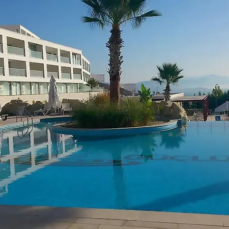 Horizon Sky Coconut 2 Kıyıkıslacık