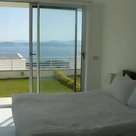 Horizon Sky Coconut 2 *